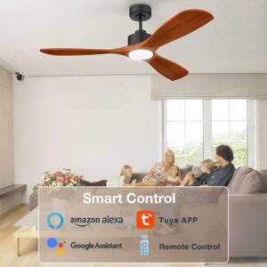 Smart Ceiling Fan