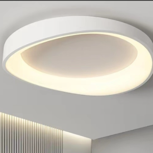 Ceiling Light 536